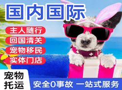 岳阳三荷航空货运国际宠物托运 【国